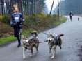 /album/fotos-mushin-bike-joring-canicross-/canicross-jpg/