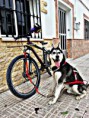 /album/fotogaleria/a1528730-579693742108321-1716079657-n-jpg/